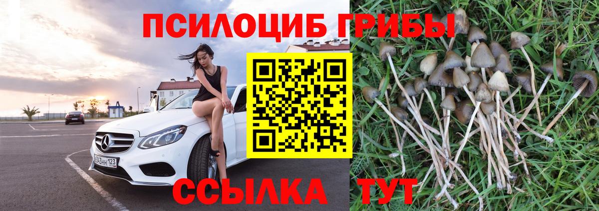Псилоцибиновые грибы Magic Shrooms  Вход с VPN  Полысаево 